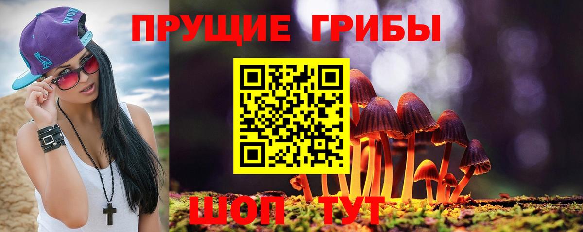 Галлюциногенные грибы Psilocybine cubensis Пыть-Ях