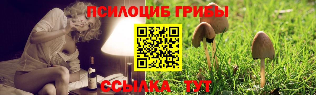 Псилоцибиновые грибы MAGIC MUSHROOMS  Псилоцибиновые грибы Psilocybe  Пыть-Ях  Вход с VPN 